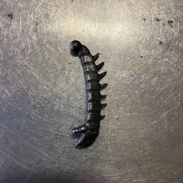 천공의 성 라퓨타 소형 로봇 병사의 왼쪽 팔