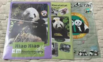 우에노 동물원 팬더 샤오샤오 레이레이 클리어 파일 3점 세트