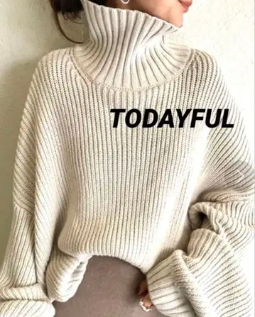 TODAYFUL 벌키 오버 니트 하이넥 터틀넥
