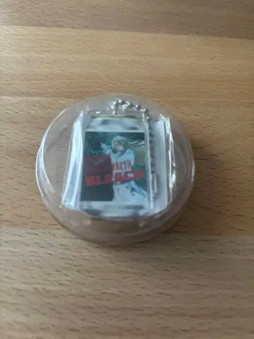 BLEACH 아크릴 키링 유그램 해쉬발트 산토리