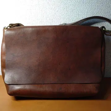 Organ 10주년 가죽 네메시스 숄더백 G-37