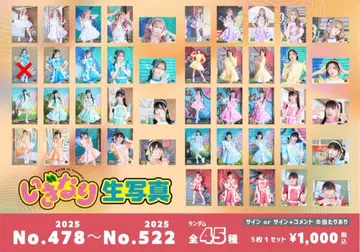 이기가리 도호쿠산 브로마이드 누락 번호 있음