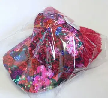 디즈니 리조트 이매지닝 더 매직 미니 폼폼 캡