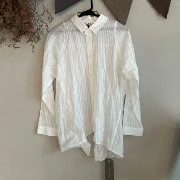 plain less 긴팔 셔츠