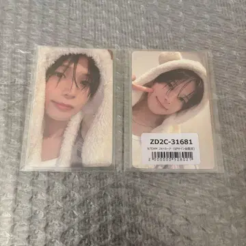 &TEAM K 애니멀 트레이딩 카드 세트 눈빛