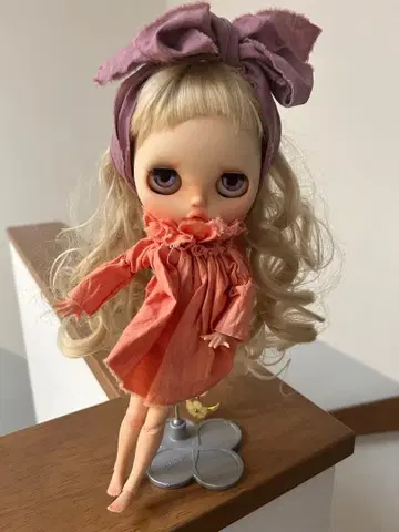 작가님 브라이스 커스텀