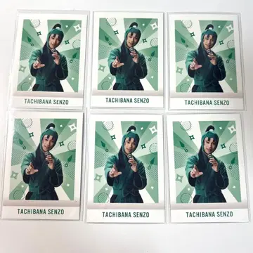 [ 즉시 구매 가능 ] 닌뮤 타치바나 센조 파샤코레 6세트