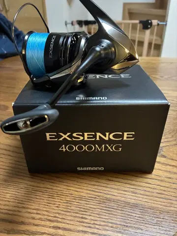 시마노 SHIMANO 25 엑센스 4000MXG