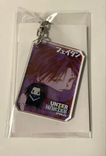 HUNTER x HUNTER 시크 아크릴 키링 페이탄