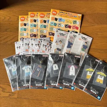 하이큐 아크릴 러버 참 스탠드 지퍼 백 세트 20개