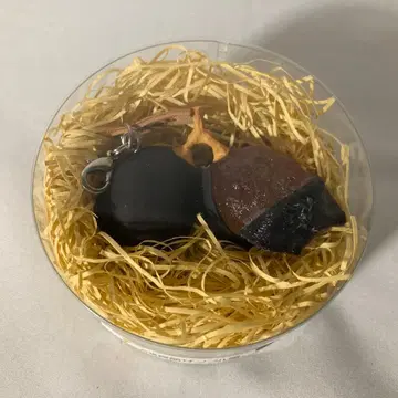 원조 식품 샘플 참 거봉