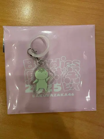 모리타 히카루 랜덤 메지루시 참