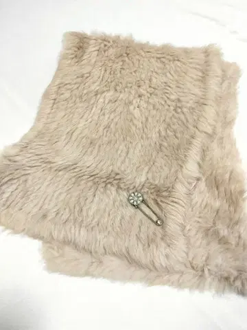 베이지 퍼스트 스톨