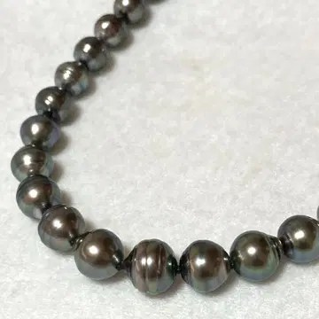 검은 나비 조개 남양 진주 목걸이 타히티 산