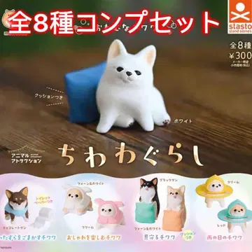 [전 8종 컴프 세트] 치와와 생활 가챠가챠