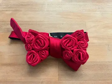 giraffe 로즈 나비 타이 레드