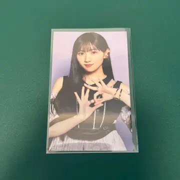 노기자카46 카와사키 벚꽃 Same numbers 미니 브로마이드