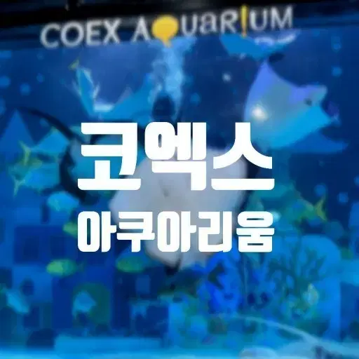 코엑스 아쿠아리움 4장 판매합니다 당일사용가능