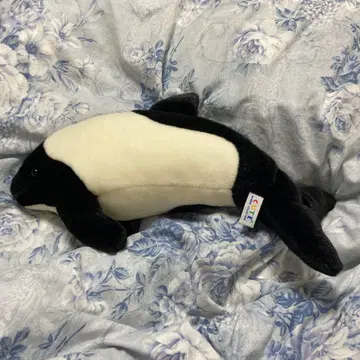 범고래 봉제 인형