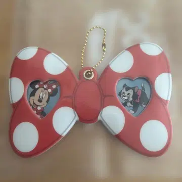 디즈니 스토어 사진 케이스 미니