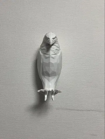 동물상 월 라이트 독수리 매