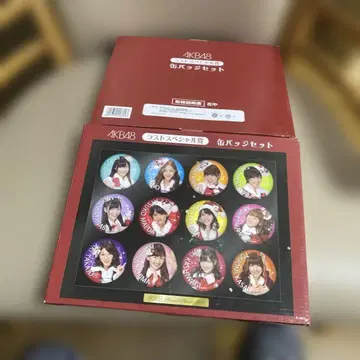 AKB48 초대 멤버 캔뱃지 세트 2개입 N 12-47