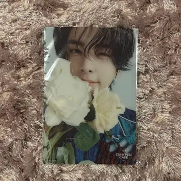 ENHYPEN 제이크 클리어 카드 초저녁