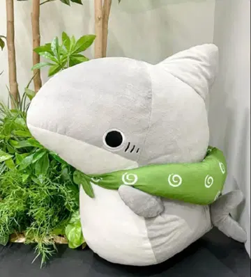 외출 아기상어 초 BIG 봉제 인형