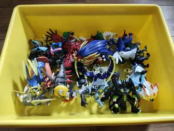 포켓몬 몬코레 묶음 판매 포켓몬스터