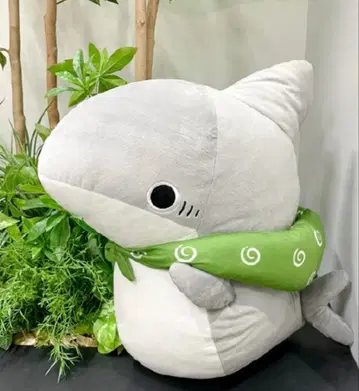 외출 아기 상어 초 BIG 봉제 인형