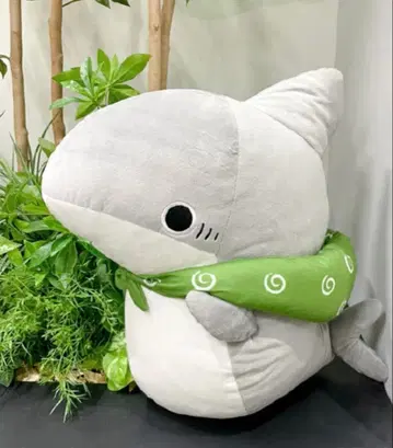 외출 아기상어 초BIG 봉제 인형