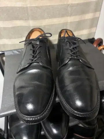 알렌 에드몬즈 9521 size10