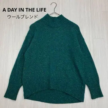 A DAY IN THE LIFE 울 나일론 컬러 네프 5G 터틀