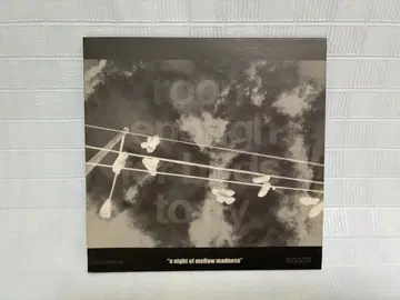 [ 레어반 ] 후지와라 히로시 mellow madness