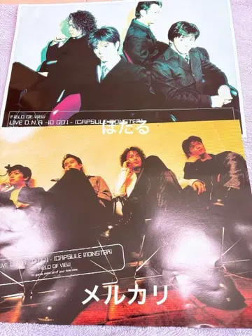 FIELD OF VIEW 포스터 외 전단지