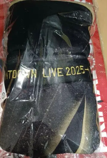 THE RAMPAGE 카운트다운 카우콘 담요