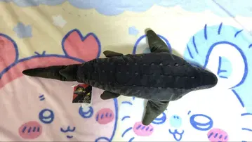 모사사우루스 쥬라기 월드/부활의 대지 슈퍼 라지 봉제 인형