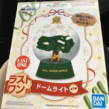 Mrs. GREEN APPLE 돔 라이트 라스트 원상
