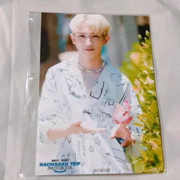 하치학 라디오 브로마이드 히로세 다이스케 하야마 쇼타