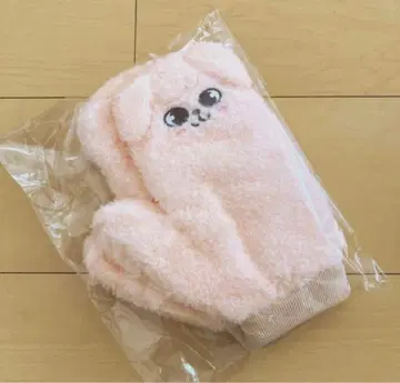 stray kids dominATE 장갑 승민 PuppyM