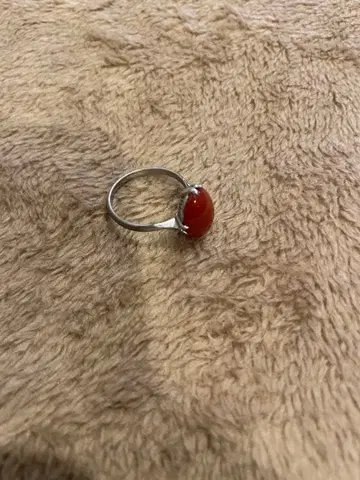 실버 코랄 반지 오벌컷