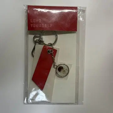 BTS LOVE YOURSELF 키링 태태 태현