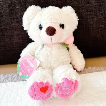 지역 한정판 복숭아 베어 봉제 인형