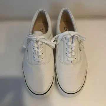 화이트 캔버스 로우컷 스니커즈 미사용