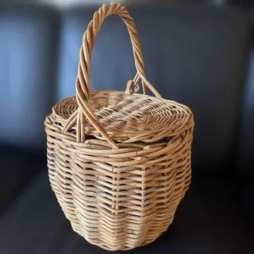 menui 제인 버킨 아라로그 카고백