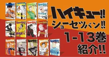 하이큐!! 소설판 1-13권 세트