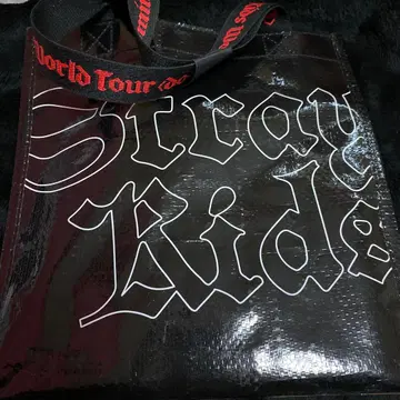 Stray Kids dominATE Japan 업그레이드 특전