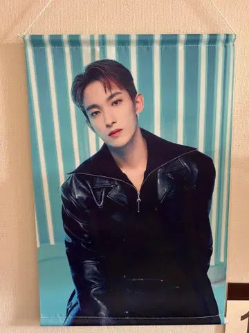 SEVENTEEN FOLLOW 도겸 DK 태피스트리