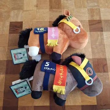 서러브레드 컬렉션 하프스타 모즈카찬