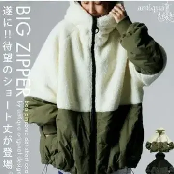 안티카 보아 코트